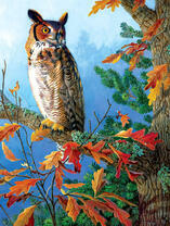 Гордая сова на осеннем дереве