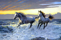 Белые лошади на морском берегу