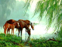 Лошади на водопое