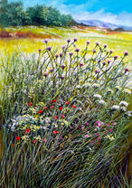 Цветы в поле