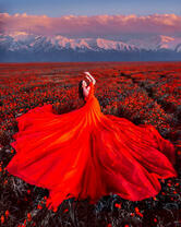 Девушка в красном на фоне макового поля