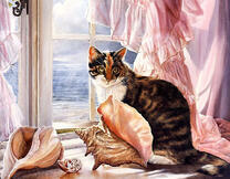 Кот у окна выходящего к морю