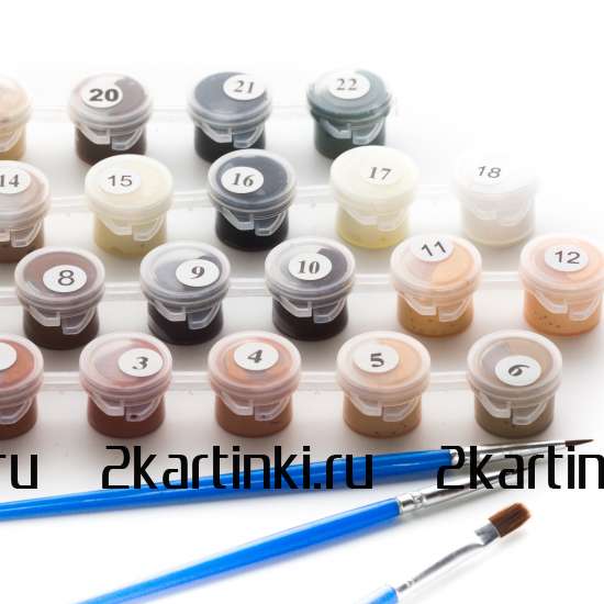 Картина по номерам 40x50 Test4 за 0 руб. в интернет-магазине в Москве Картина по номерам 40x50 Test4