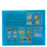 Картина по номерам 40x50 Q5182 Обнаженная девушка и череп за 1050 руб. в интернет-магазине в Москве Картина по номерам 40x50 Обнаженная девушка и череп