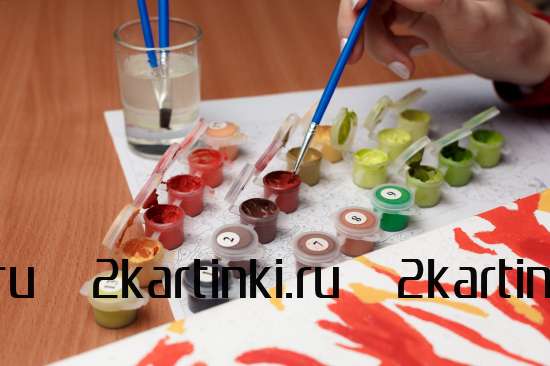 Картина по номерам 40x50 Test4 за 0 руб. в интернет-магазине в Москве Картина по номерам 40x50 Test4