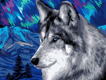 Большой волк на фоне северного сияния