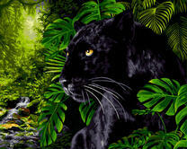 Грозная пантера в джунглях