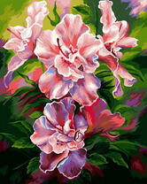 Красивые яркие ирисы