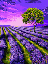 Лавандовое поле и небольшое дерево