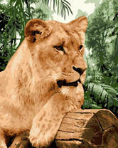 Львица на бревне в зеленых джунглях