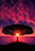 Свет солнца в кроне дереве