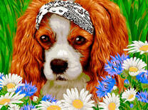 Рыженький щенок и цветущие ромашки