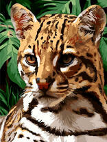 Лесной котик на фоне зелени