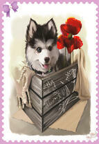 Щенок в ящике с маками