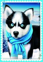 Хаски с голубыми глазами и шарфом