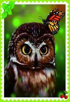 Совенок с бабочкой на голове