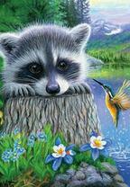 Енот и колибри возле горного озера