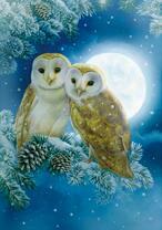 Пара влюбленных сов на фоне полной луны