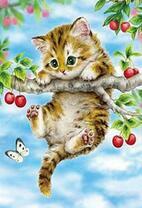 Маленький котёнок лезет на вишню