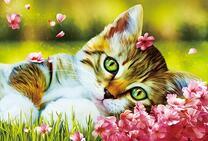 зеленоглазый котёнок в цветах сакуры