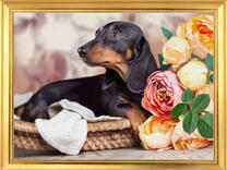 Милая такса и букетик роз