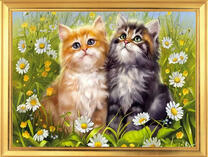 Рыжий и серый котята на ромашковом поле