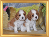 Пара милых щеночков