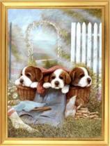 Три щенка в корзинке в парке