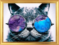 Отражение космоса в очках кота
