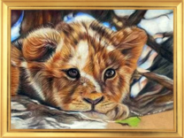 Маленький львёнок на дереве