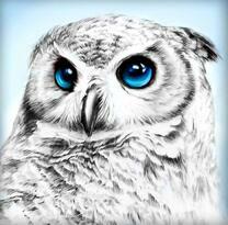 Белый филин с голубыми глазами