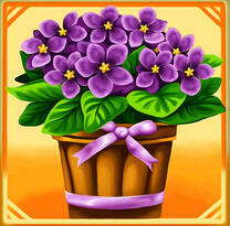 Фиалки с бантиком