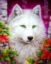 Белый волк среди берез