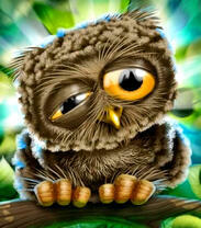 Сонный совёнок