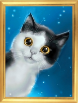 Черно-белый котёнок на фоне звёздного неба