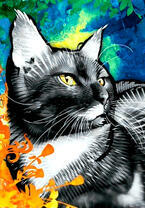 Черный ленивый кот