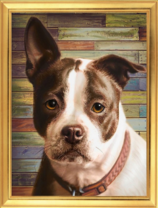 Милый черно-белый щенок