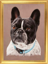 Черно-белый мопс в голубом ошейнике