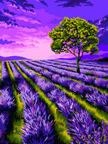 Одинокое дерево на лавандовом поле