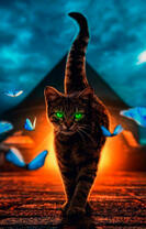 Зеленоглазая кошка и бабочки