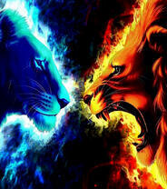 Лёд и огонь - львица и лев