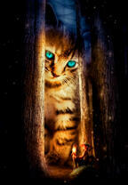 Голубоглазый котёнок и мальчик под деревом