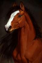 Гордый и сильный скакун