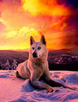 Белый пёс на снегу