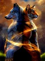 Сила тигра и волка