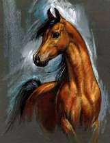 Молодой жеребёнок