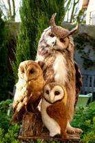 Филин, сова и их совёнок