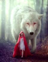 Красная шапочка и белый волк