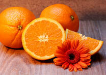 Сочный апельсин и оранжевая гербера