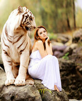 Нежная девушка и белый тигр